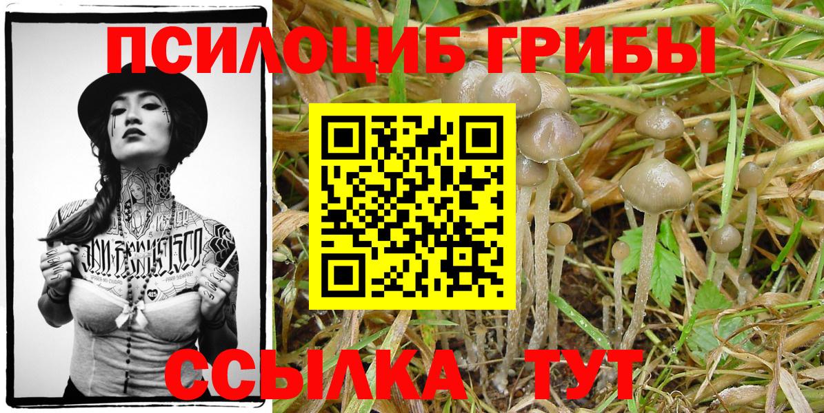 Псилоцибиновые грибы MAGIC MUSHROOMS  Галлюциногенные грибы Cubensis  Вход с VPN  Арзамас 